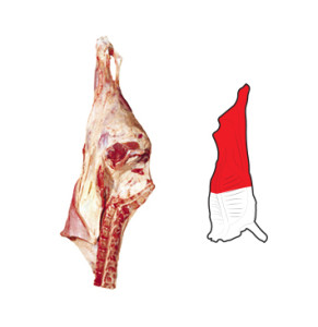 Hindquarter is prepared from a Carcase Side by the separation of the Hindquarter and Forequarter by a cut along the specified rib, at right angles to the vertebral column through to the ventral portion of the flank.