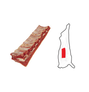 Short Ribs are prepared from a Forequarter after the removal of the Brisket / Ribs Prepared / Chuck Square Cut. The cutting line is approximately 75mm from the eye of meat and parallel to the vertebral column. The M. cutaneus trunci is removed.