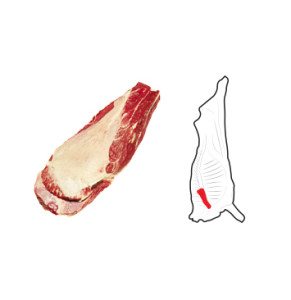 Oyster Blade is prepared from a Blade by the removal of the Bolar Blade along the natural seam from the M. infraspinatus.