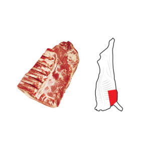 Brisket Point End is prepared from Brisket by the removal of the Naval End and following the caudal edge of the specified rib.
