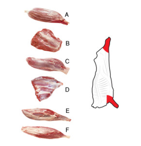 Shin – Special Trim is derived from Shin / Shank and is prepared into individual muscles or specified muscle groups. The maximum tendon length on all muscles is 15mm which may be measured from either end of the muscle. Muscle grouping is identified in the following manner: Group A: Hindquarter Extensor Group Group B: Heel muscle.Group C: Conical Muscle Group D: Hindquarter Flexor Group Group E: Forequarter Extensor Group Group F: Forequarter Flexor Group.