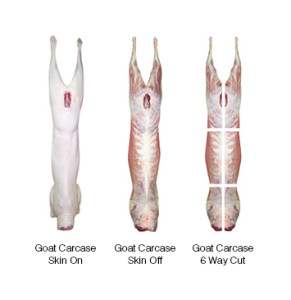 Carcase Skin On or Skin Off includes all parts of the body skeletal musculature and bone, extending to and including the hock joint and knee joint, all cervical vertebrae and up to five coccygeal vertebrae. Carcase trim must comply with all government hygiene regulations that passes a carcase fit for human consumption and with the Australian meat industry agreed minimum trim requirements.